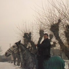 Жасурбек Мамараимов, 30.04.1994, Новосибирск