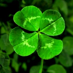 Наталья Арыкова, Москва