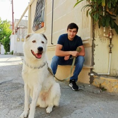 Тима Сулейманов, 26.01, Баку