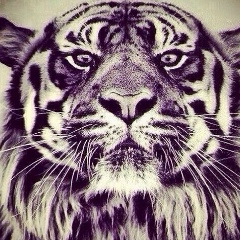 Ахмед Магомедов, 26.06, Санкт-Петербург