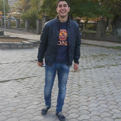 Ashot Hayrapetyan, Горис