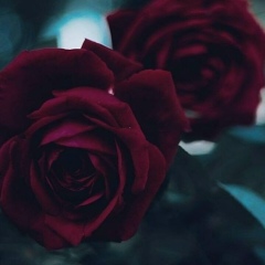 Zhanara Orazbekova, Алматы