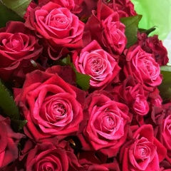 Гульнара Смирнова, 25.10.1988, Казань