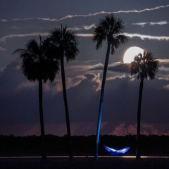 Андрей Парсаев, 16.09