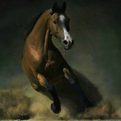 Astemir Margushev, 01.02