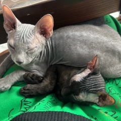 Виктория Деменко, 16.01.1987