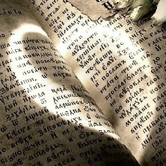 Галина Макаревская, 15.08.1953, Череповец