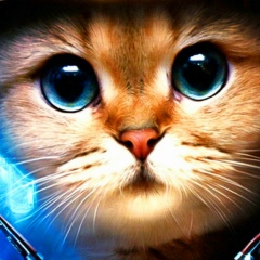 Виктория Рыбалка, 24.07, Радофинниково