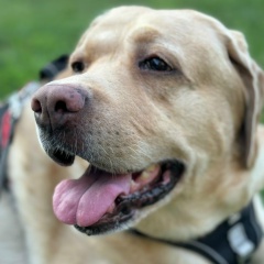 Наталья Черникова, 01.01, Краснодар