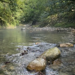 Владимир Веснин, 01.12.1984, Томск
