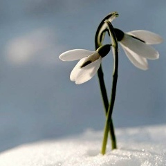 Екатерина Филонова