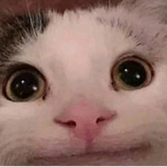 Дмитрий О