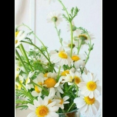 Наталья Журбина, Камышин