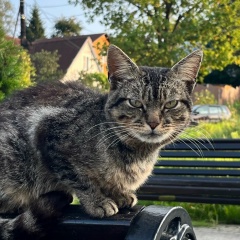 Татьяна Хошева, 26.01, Москва