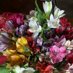 Наталья Андреева, Москва