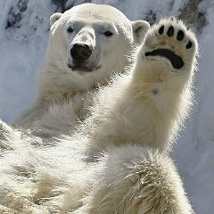 Кизляр Дагестан, 12.10, Кизляр