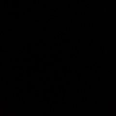 Максим Кучкин