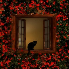 Ирина Ромашкина, 30.12, Самара