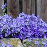 Наида Янполова, 01.10.1979