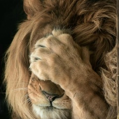 Кирилл Ляхов, 03.05, Санкт-Петербург