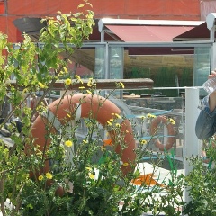 Aida Kairgalieva, 19.07, Алматы