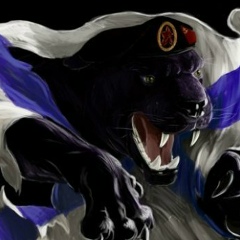 Black Black, Санкт-Петербург