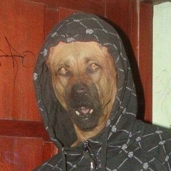 Василий Игнатов, 14.02.1978, Великий Новгород