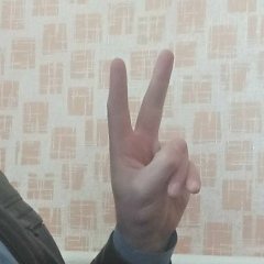 Виталий Горкавый, Бахмач