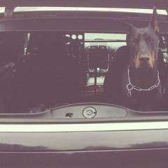 Эдик Казбеков, 06.10, Москва