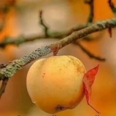 Оксана Уколкина, Челябинск