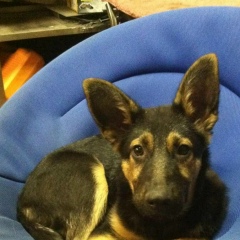 Сергій Слабодух, 07.07, Cleveland