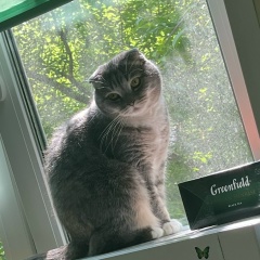 Илья Лебедев, Москва