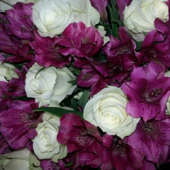 Инна Бондарева(Осина), 12.03.1978