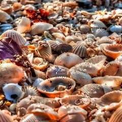 Yevg G, 28.01, Москва