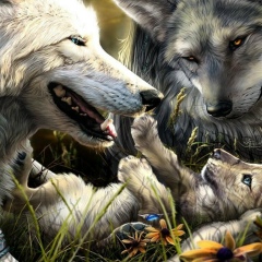 Тимур Метисс, 25.04, Dubai