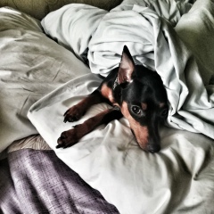 Вредная Кима, 22.12.1990, Уссурийск