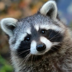 Игорь Енот, 02.02.1990