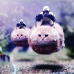 Виктор Небораков, 19.03