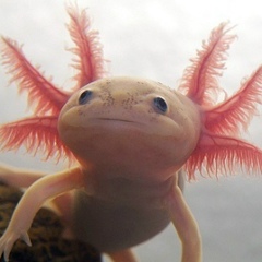 Семён Козицын, 06.05.1989, Ванино