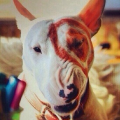 Булат Рустемов, 09.04.1991, Астана