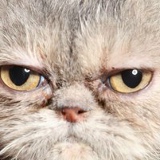 Максим Воробьев, 10.03.1990, Екатеринбург