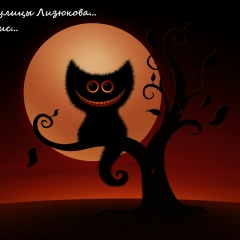 Дмитрий Чёрный, 31.10, Воронеж