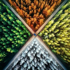 Casey Cooper, 12.11.1995, Караганда