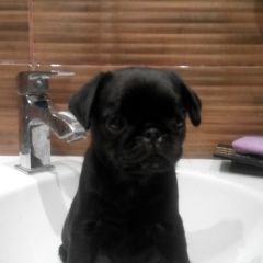 Ирина Столярова, 07.09.1971, Мурманск