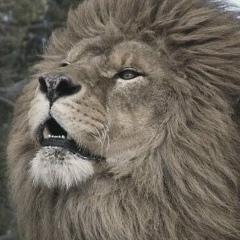 Ислам Баркинхоев, 29.01.1992, Сунжа (Орджоникидзевская)