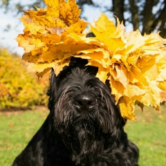 Maria Friedrich, 01.12, Nürnberg