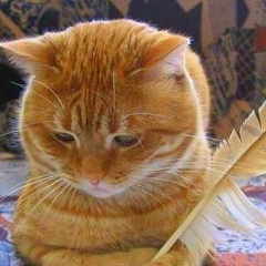 Оксана Владимирова, 02.03, Москва