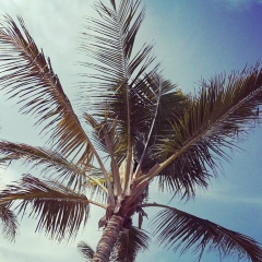 Молдир Ертаева, 10.03.1991