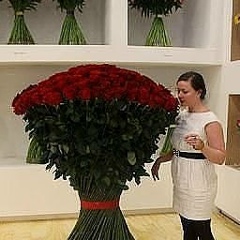 Irma Gogoladze, Зугдиди