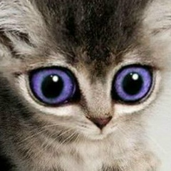 Эмви Бесфамильных, 27.08, Москва